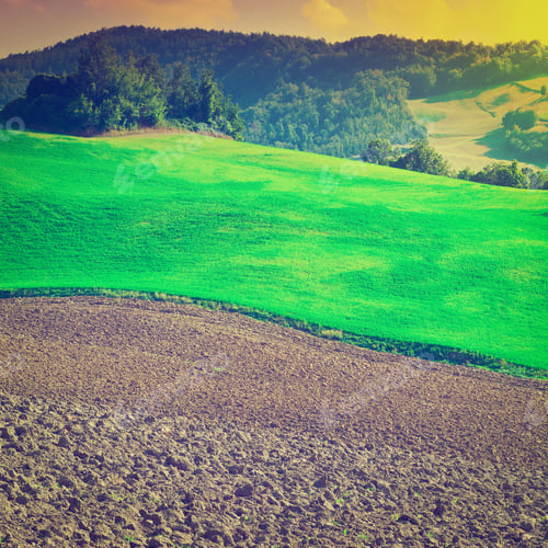 Preview: Plowed Sloping Hills Of Tuscany At Sunset, Instagram Effect