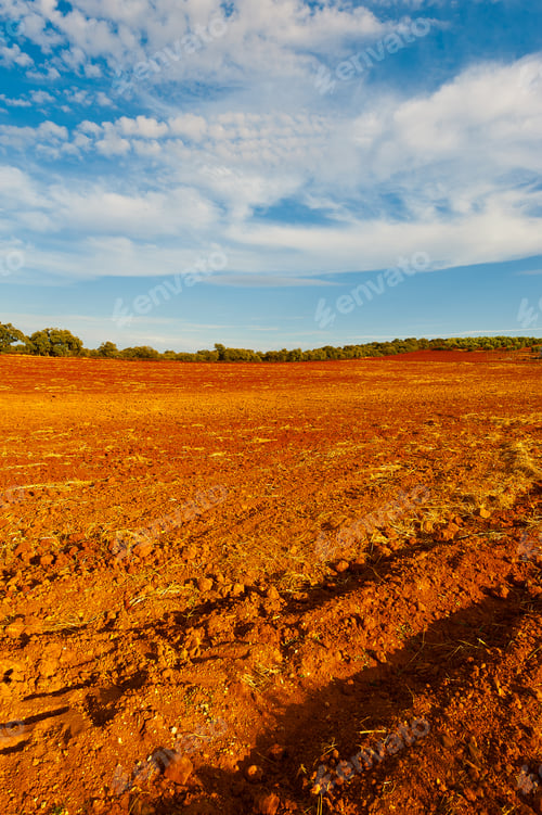 Preview: Plowed Fields Of Spain In A Autumn