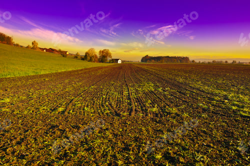 Preview: The Swiss Farmhouse Surrounded By Plowed Fields, Sunrise