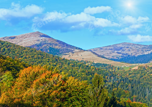 Preview: Autumn Mountain Forestry Overgrown Hill View (Ukraine, Carpathian)
