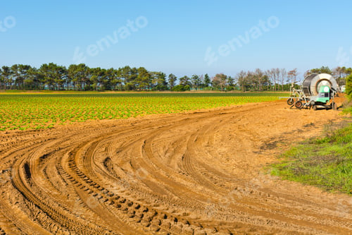 Preview: Sprinkler Irrigation On A Field In Portugal