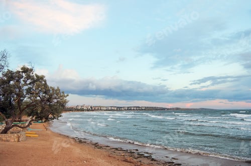 Preview: Sea Sandy Coastline, Willow Tree On Coast And Scholkino City Far Away (Ukraine, Krimea)