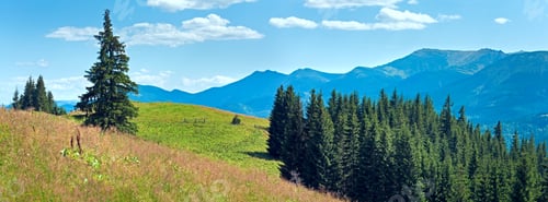 Preview: Summer Mountain Panorama With Flowering Grassland In Front And Fir Forest On Slope (Carpathian