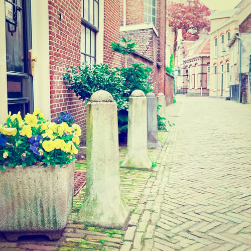 Preview: Pansies Adorn The Narrow Street In The Dutch City Of Amersfoort, Instagram Effect