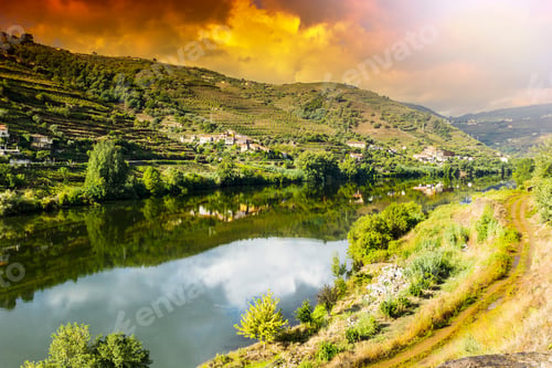 Preview: Travel In River Douro Region In Portugal Among Vineyards And Olive Groves. Viticulture In The