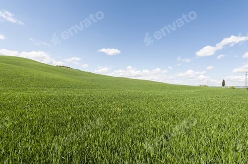 Preview: Italian Landscape With Meadows Early In The Spring. Agriculture In Italy, Fields And Pastures.
