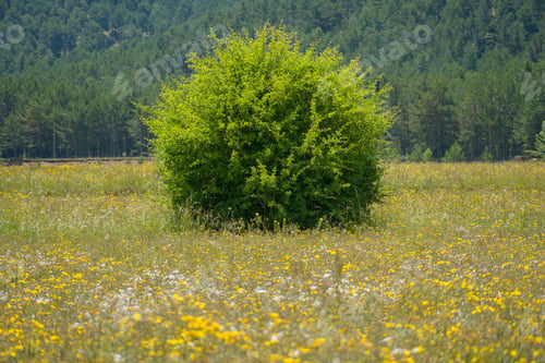 Preview: Spring Landscape In Gudar Mountains Teruel Aragon Spain