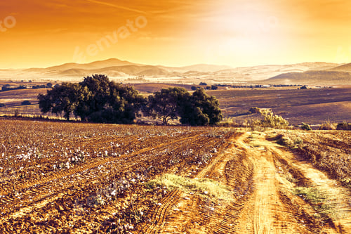Preview: Fields In Spain After Harvesting At Sunrise. Breathtaking Landscape And Nature Of The Iberian