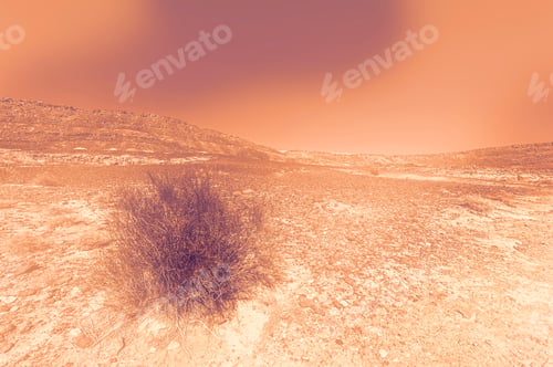 Preview: Breathtaking Landscape Of The Rock Formations In The Israel Desert At Dawn In A Contemporary Style