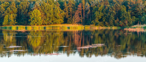 Preview: Evening Summer Lake Landscape With Beautiful Trees Reflections On Water Surface (Near Shklo