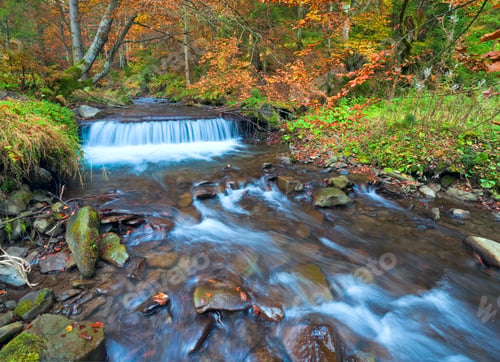 Preview: Rocky Stream, Running Through Autumn Mountain Forest