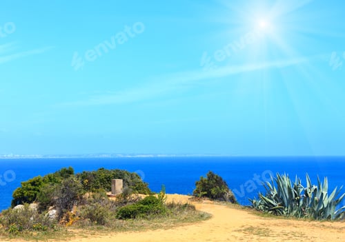 Preview: Summer Sea Sunshiny Coast Landscape With Agave Plants.