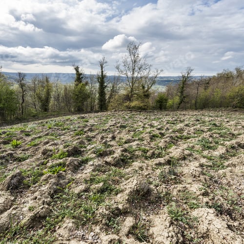 Preview: Plowed Sloping Hills Of Tuscany In The Spring. Rural Landscape With Field Ready For Sowing