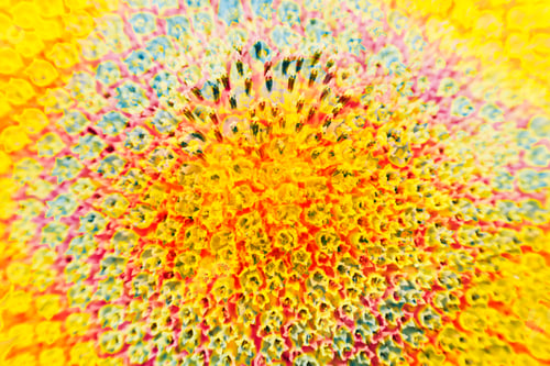 Preview: Abstract And Funky Background Done In Macro Mode
