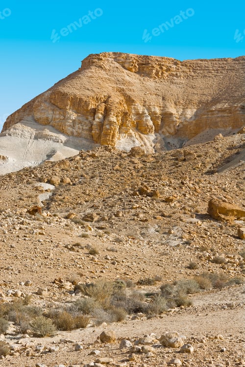 Preview: Canyon En Avedat Of The Negev Desert In Israel