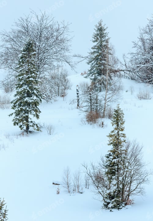 Preview: Snowfall In Winter Carpathian Mountains With Snowy Trees On Slope.