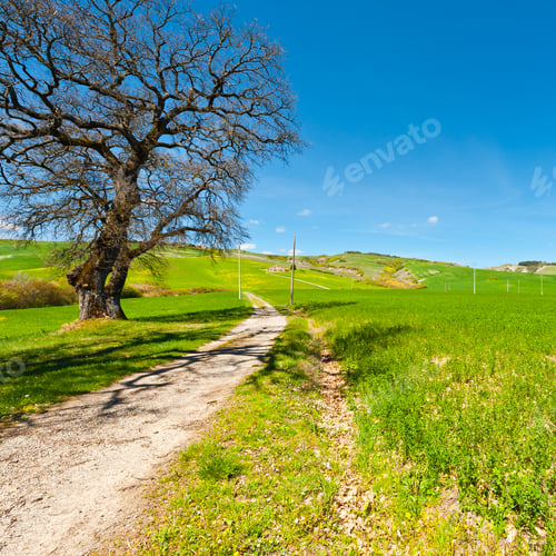 Preview: Green Sloping Meadows Of Tuscany