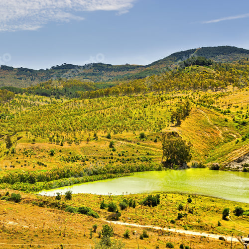 Preview: The Shore Of A Mountain Lake Covered With Bushes In Sicily