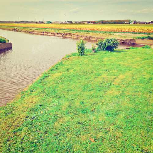 Preview: Irrigation Canal Between The Fields Of Tulips, Netherlands, Instagram Effect