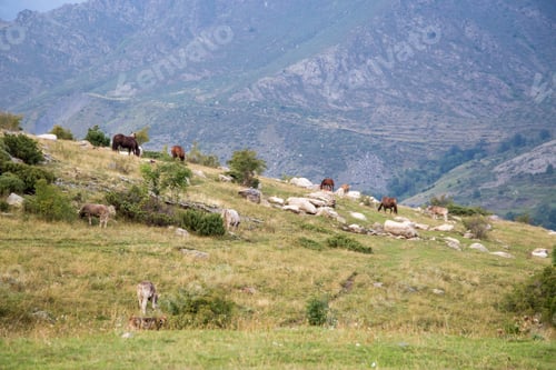 Preview: Mountain Landscape Pyrenees In Boi Valley Lleida Catalonia Spain