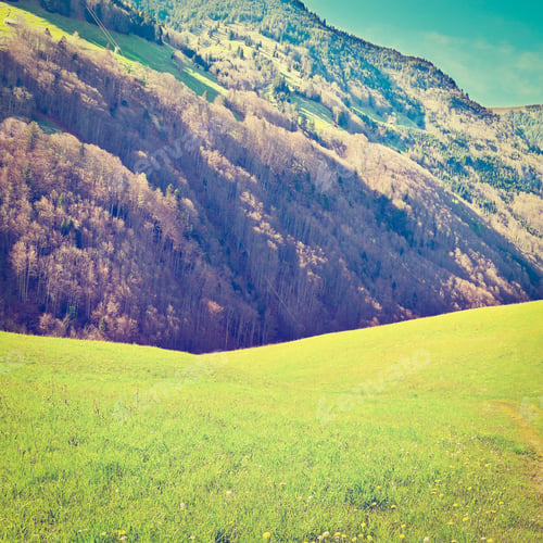 Preview: Meadow High Up In The Swiss Alps, Retro Effect
