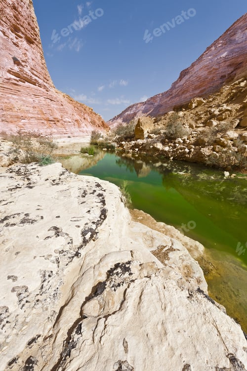 Preview: Canyon En Avedat Of The Negev Desert In Israel