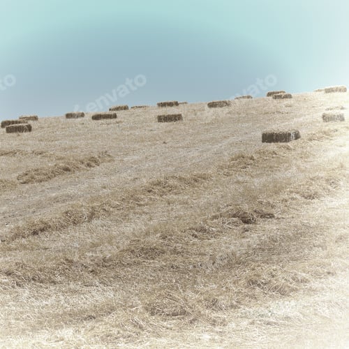 Preview: Landscape Of Sicily With Many Hay Briquettes, Retro Image Filtered Style