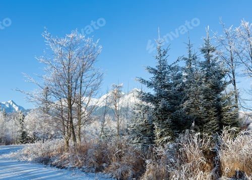 Preview: Winter Mountain Landscape. Western Tatras (Poland).