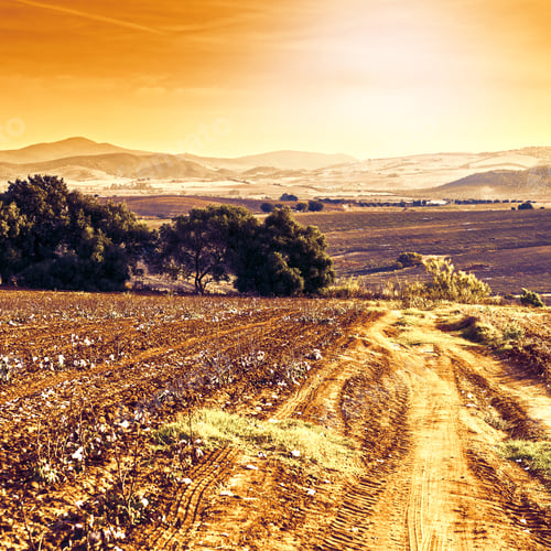 Preview: Fields In Spain After Harvesting At Sunrise. Breathtaking Landscape And Nature Of The Iberian