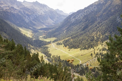 Preview: Autumn Colors At Port De La Bonaigua, Valle De Aran, Spain