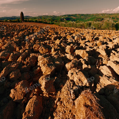 Preview: Plowed Sloping Hills Of Tuscany In The Autumn At Sunset, Vintage Style Toned Picture