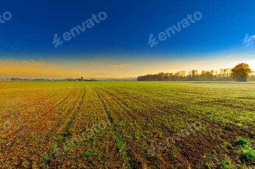 Preview: The Swiss Farmhouse Surrounded By Plowed Fields, Sunrise