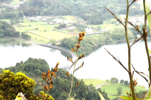 Preview: Sete Cidades Lagoon Has Amazing Natural Landscape And Is Located In A Volcanic Crater On The Island