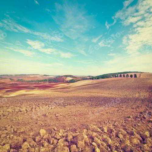 Preview: Plowed Sloping Hills Of Spain In The Autumn, Vintage Style Toned Picture