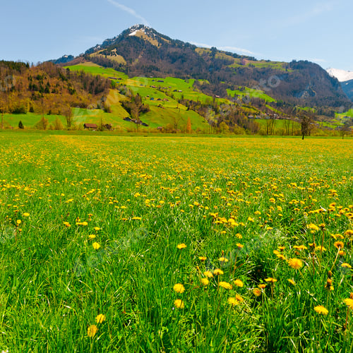 Preview: Small Village High Up In The Swiss Alps