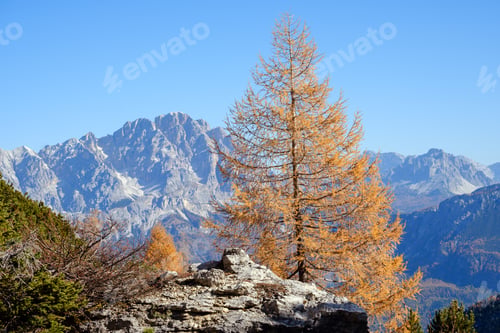 Preview: Sunny Picturesque Autumn Alpine Dolomites Rocky Mountain View From Hiking Path From Giau Pass To