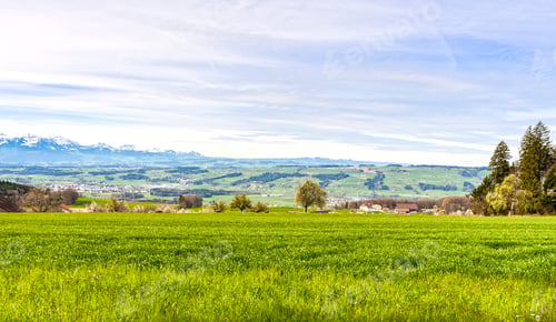 Preview: Pasture On The Background Of Snow-Capped Alps In Switzerland. Swiss Small Town At The Foot Of