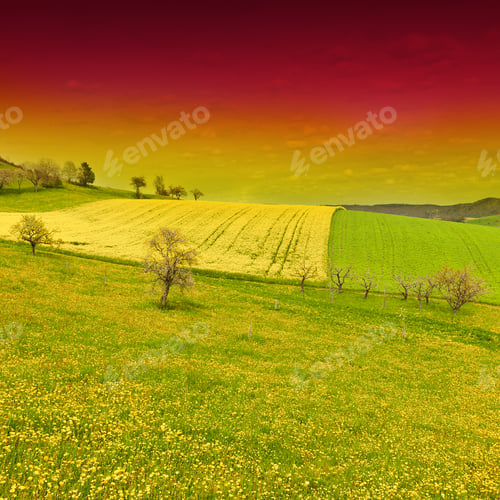 Preview: Green And Yellow Fields In Swiss Alps At Sunset