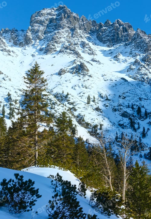 Preview: Winter Rocky Mountain Landscape (Stary Smokovec, High Tatras, Slovakia).