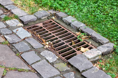 Preview: Square Hatch Rusty Rainstorm Grill Dirty In Leaves With Garbage In The Park Sidewalk Made Of Stone