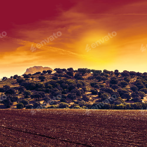 Preview: Fields In Spain After Harvesting At Sunrise. Breathtaking Landscape And Nature Of The Iberian