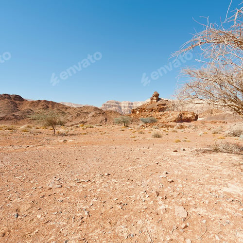 Preview: Melancholy And Emptiness Of The Rocky Hills Of The Negev Desert In Israel. Breathtaking Landscape