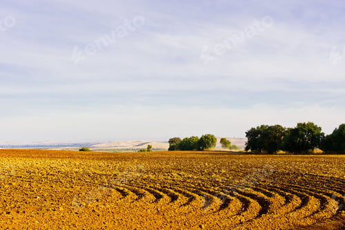 Preview: Plowed Sloping Hills Of Spain In The Autumn
