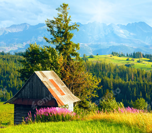Preview: Sunshine Above Summer Mountain Village Outskirts With Pink Flowers And Wooden Shed In Front And