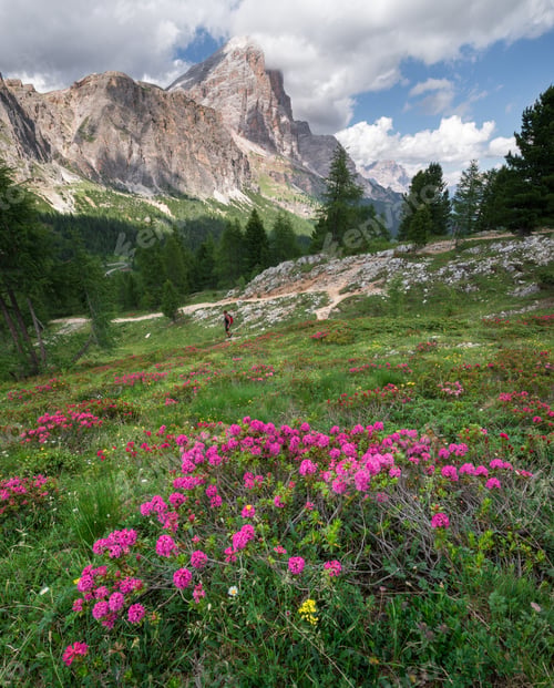 Preview: Male Hiker Exploring The Dolomites Landscape