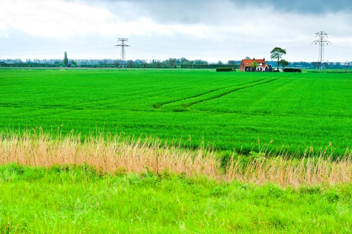 Preview: Agriculture On Land Reclaimed From The See In Netherlands. Tidal Marsh And Meadows Formed By Dams