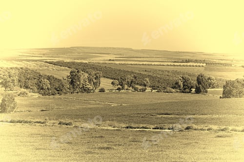 Preview: Jezreel Valley At The Foot Of The Mount Tabor In Israel, Stylized Photo