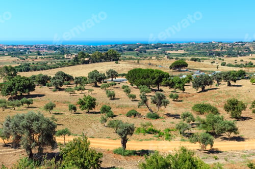 Preview: View To Road, Gardens And Sea From Famous Ancient Ruins In Valley Of Temples, Agrigento, Sicily