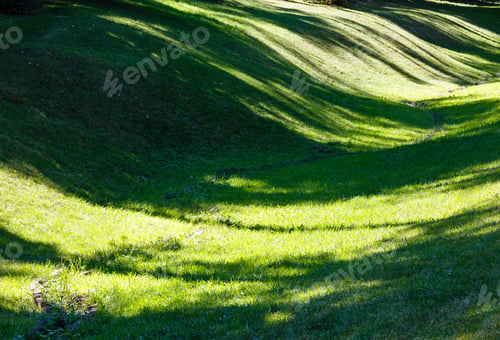 Preview: Perfect Green Grass Lawn On Landscape Designed Summer Park Hollow. Striped Shadows On Curved Meadow