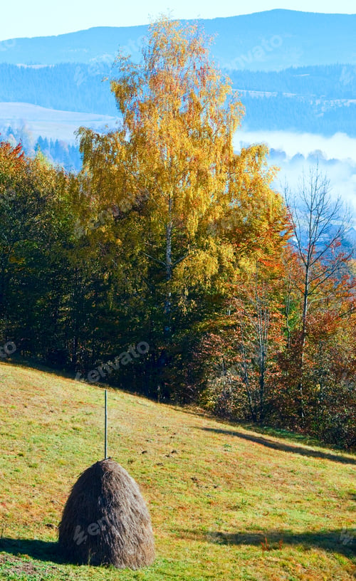 Preview: Autumn Mountain Country Landscape With Haystack On Slope (Carpathian, Ukraine).